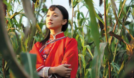 电视剧红高粱好看吗,一部引人入胜的史诗传奇，精彩程度不容错过！