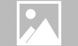 我和春天有个约会电视剧,浪漫邂逅，青春绽放