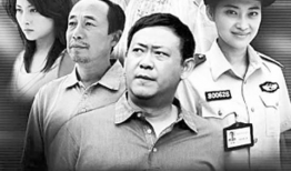 我是警察电视剧,忠诚守护，正义之光